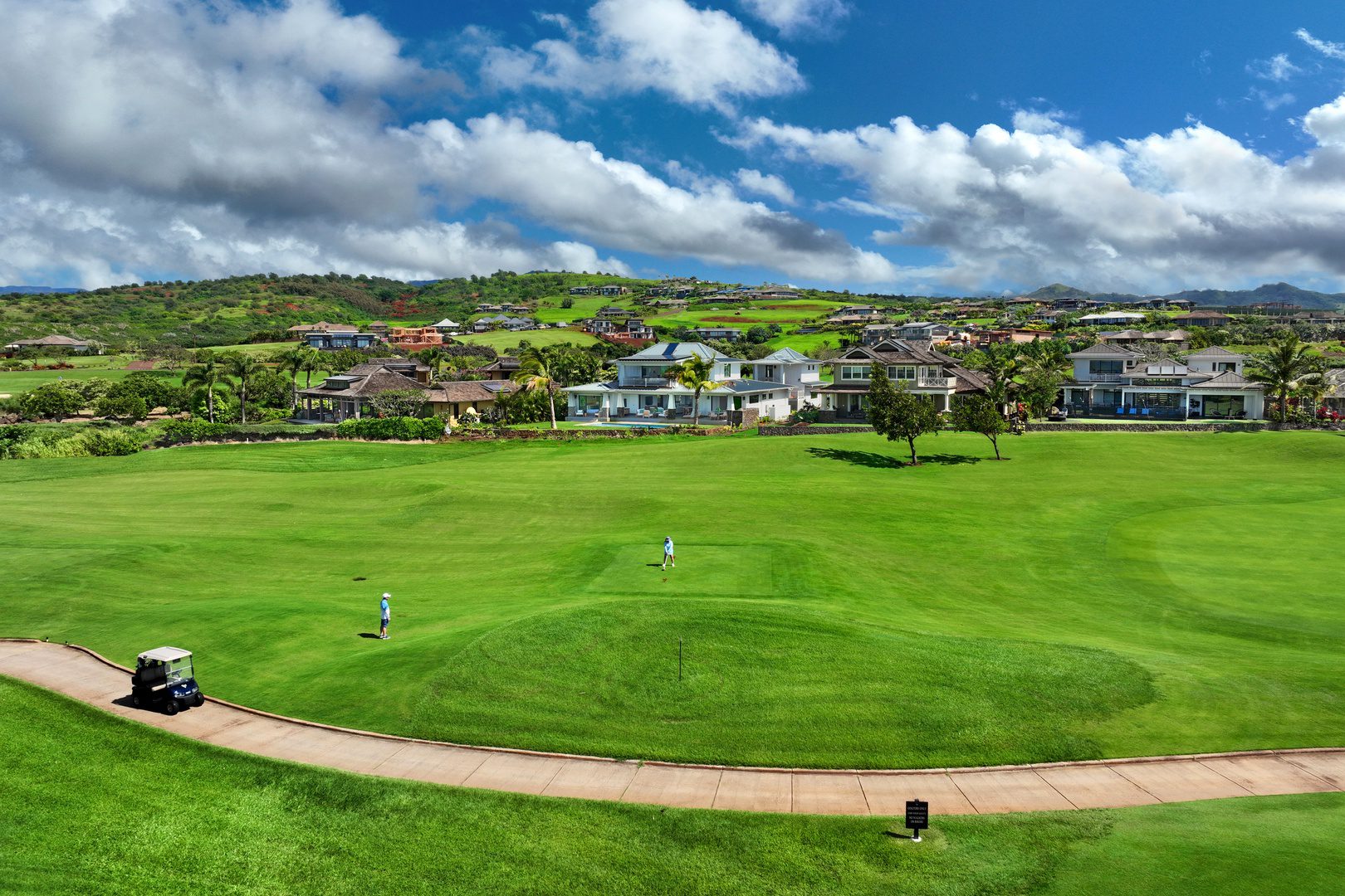 A green field with houses in the background.