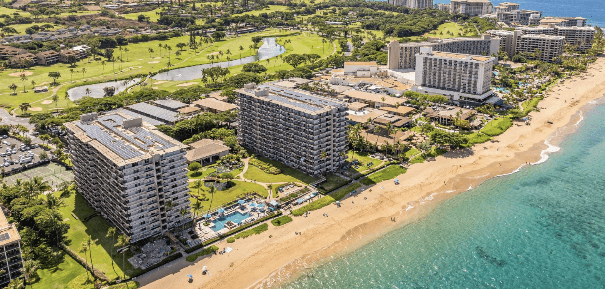 #1KaanapaliAlii #1KaanapaliAlii